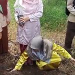 MTsS Rambatan Tanam Pohon Matoa dalam Gerakan Sejuta Pohon Kemenag RI Tahun 2025