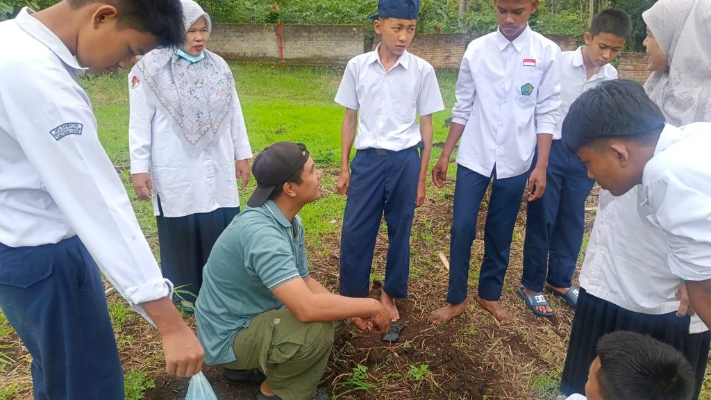 Kembangkan Jiwa Wirausaha, Siswa MTsS Rambatan. Belajar Menanam Pepaya Madu (California) Bersama Mahasiswa Pertanian UNAND Padang (dalam rangka membina karakter mandiri, berkolaborasi dan bertanggung jawab)